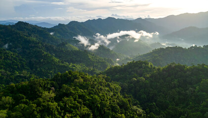 Naklejka premium Verdant Hills, Cloud-Kissed Peaks, Aerial View