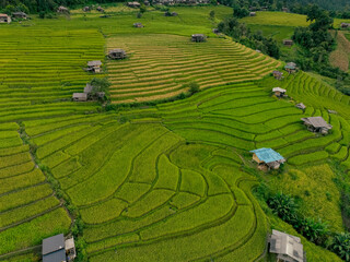 Vibrant landscape of green rice terraces with cloudy atmosphere and distant village houses in northern Thailand, reflecting harmony with nature and authentic rural lifestyle for eco travelers.