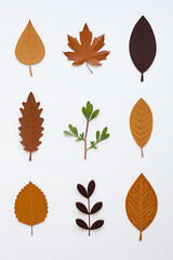 Obraz premium Nine Autumn Leaves and Branch Flatlay White Background
