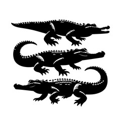 Crocodile silhouette , Crocodile vector 