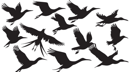 Obraz premium Silhouette of flock of flying birds isolated , black silhouettes isolated on white background