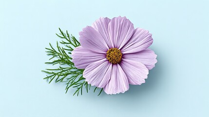 Delicate light purple flower with green sprigs on a pastel background.