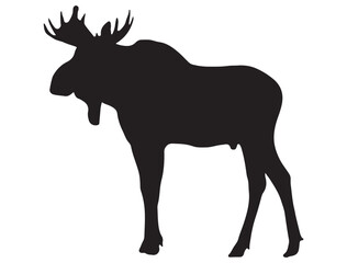 MOOSE SILHOUETTE