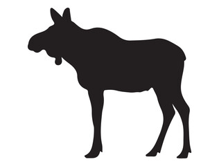 MOOSE SILHOUETTE