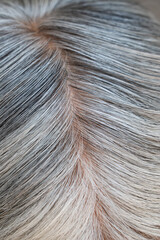 closeup of white hair  texture background.