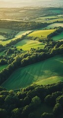 High-angle view of rolling hills, fields, and forests.  Golden light on green landscapes