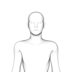 3d rendered model of a human body, transparent png available