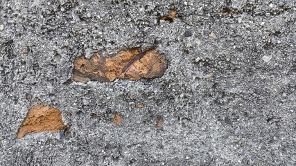 Close-up of rough concrete wall with exposed brick elements. Weathered texture perfect for urban...