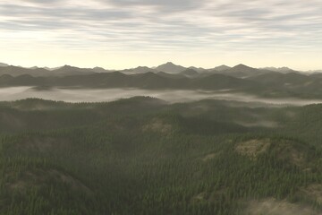 Obraz premium Misty forest with distant mountain range