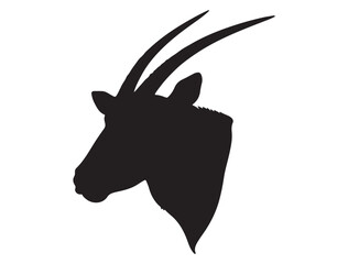 ORYX SILHOUETTE