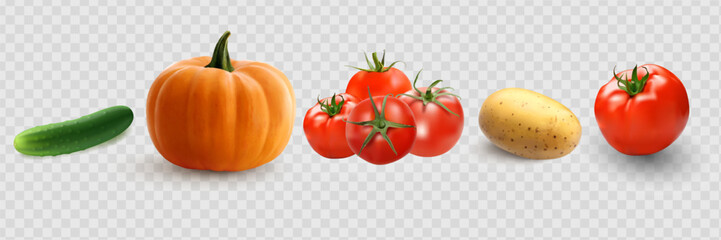 Cucumbers, coriander seeds, onions, potatoes, lettuce, zucchini, corn, tomato, asparagus. Vegetables 3d realistic vector set