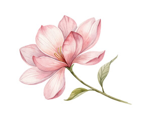 Obraz premium Colorful watercolor floral composition with bright leaves and flowers, perfect for spring or summer designs including invitations, wedding stationery, and greeting cards