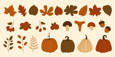 Collection of autumn elements pumpkins, mushrooms, leaves, berries and acorns. Set of fall season web graphics and cozy design themes. Vector illustration