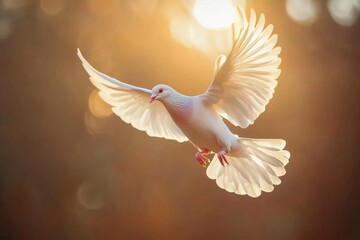 White pigeon gracefully flying against a black background in ultra slow motion, White pigeon flying on black background, Ultra Slow Motion