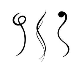 Vintage Set of calligraphic swashes swirling lines and flourishes