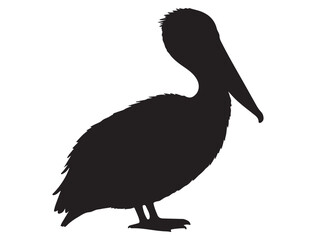 PELICAN SILHOUETTE