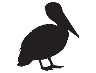 PELICAN SILHOUETTE
