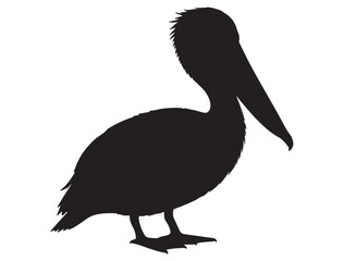PELICAN SILHOUETTE