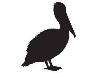 PELICAN SILHOUETTE