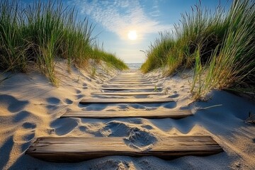 Sunny beach path through dunes