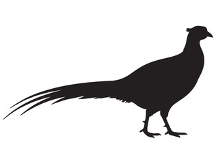 PHEASANT SILHOUETTE