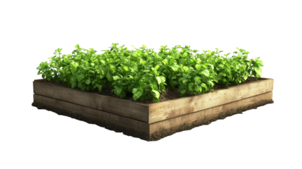 Elevated wooden raised garden bed planter, a sustainable gardening solution for flowers and vegetables