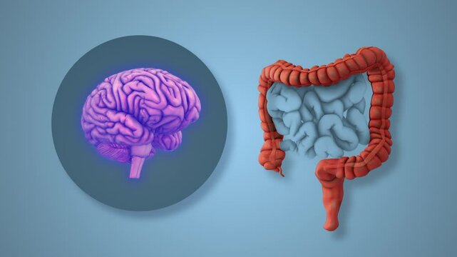 Cognitive and Gut Interaction in IBS Patients