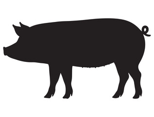 PIG SILHOUETTE