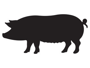 PIG SILHOUETTE