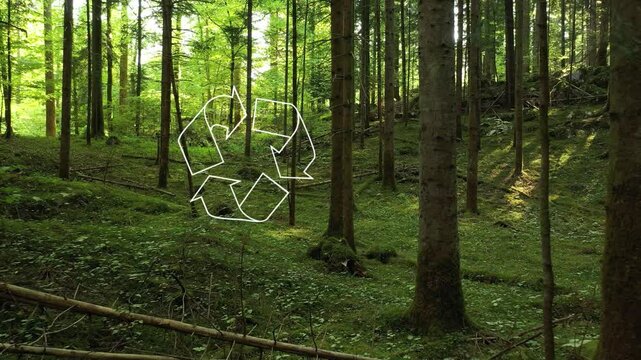 Animated recycle symbol inside beautiful sunny green forest landscape.