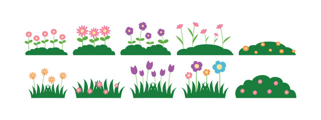 Collection of Colorful Flowers and Greenery Illustrations