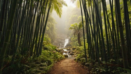 Exploring serene bamboo forest waterfall pathway nature tranquil environment scenic viewpoint