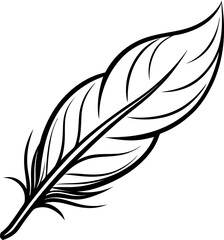 Obraz premium feather isolated on white