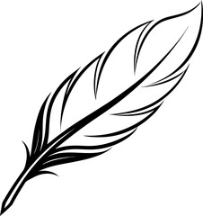 Obraz premium feather on white background