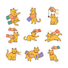 Cute Cat Playing
