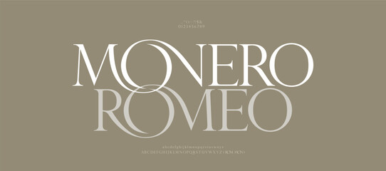 Elegant alphabet beauty logo font. Classic beautiful Modern luxury Serif Letter Minimal Fashion. Typography decoration logotype fonts, wedding, logos. vector illustration