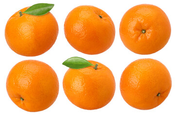 Set of orange fruit with leaves isolated, transparent PNG, PNG format, cut out