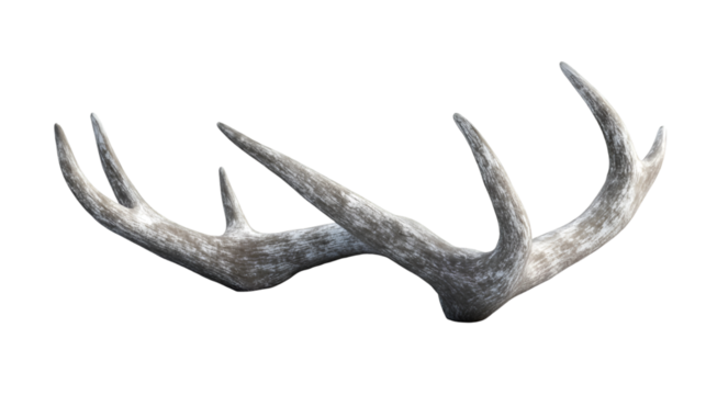 Pair of Shed Deer Antlers with a Mottled Gray and White Texture Isolated on Black - Powered by Adobe