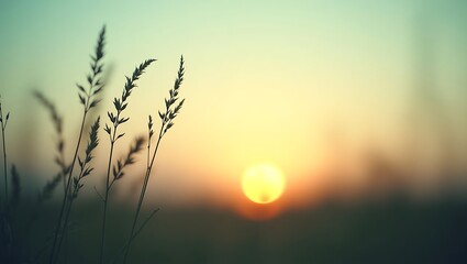 Naklejka premium Silhouetted grasses sway gently in the warm sunset glow