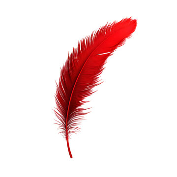 Fototapeta A vibrant, realistic red feather floats gracefully in mid-air against a soft white background, capturing its intricate details.