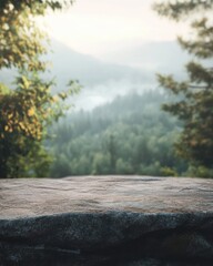 Natural rock surface with scenic forest and mountain view ideal for product placement or design