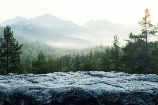 Natural rock surface with scenic forest and mountain view ideal for product placement or design