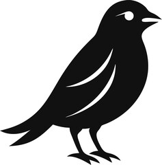 vector illustration of a bird