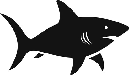 shark vector illustration