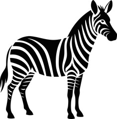 zebra vector illustration
