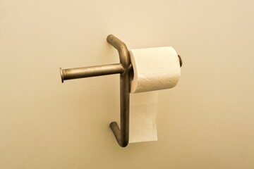 A roll of toilet paper in a public toilet.