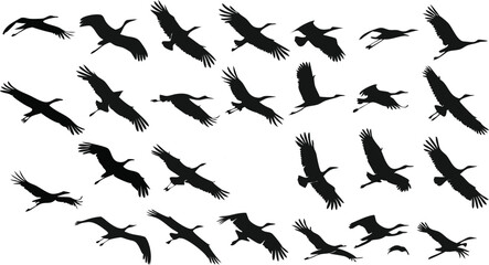 a flock of geese, flying in the sky, black silhouette, minimalist, elegant, graceful, simple, vector illustration
