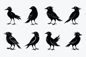 Collection of eight stylized black crow silhouette art
