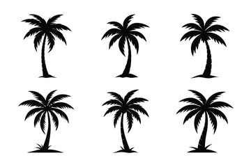 Silhouettes of six palm trees on a white background view