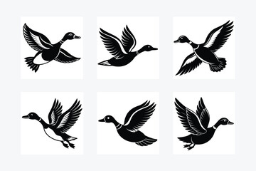 Six black and white duck illustrations in flight pattern